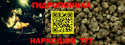 гидропоника Ставрополь