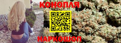 тгк Славгород