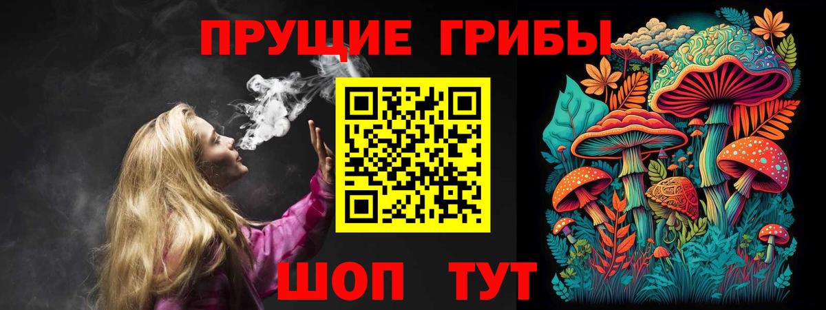 Малгобек  Галлюциногенные грибы ЛСД  Вход с VPN  цены   Псилоцибиновые грибы Psilocybe 