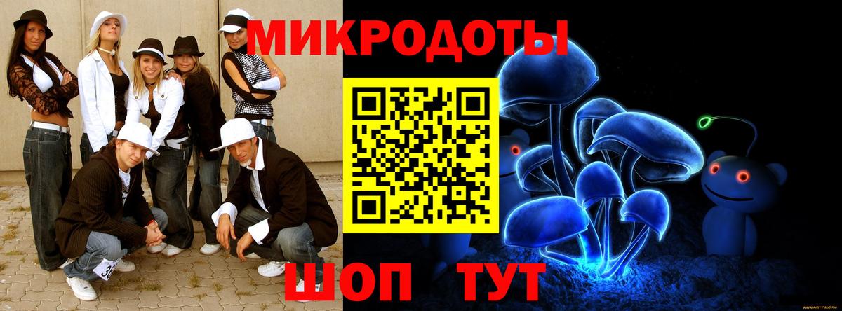 Псилоцибиновые грибы мицелий Малгобек