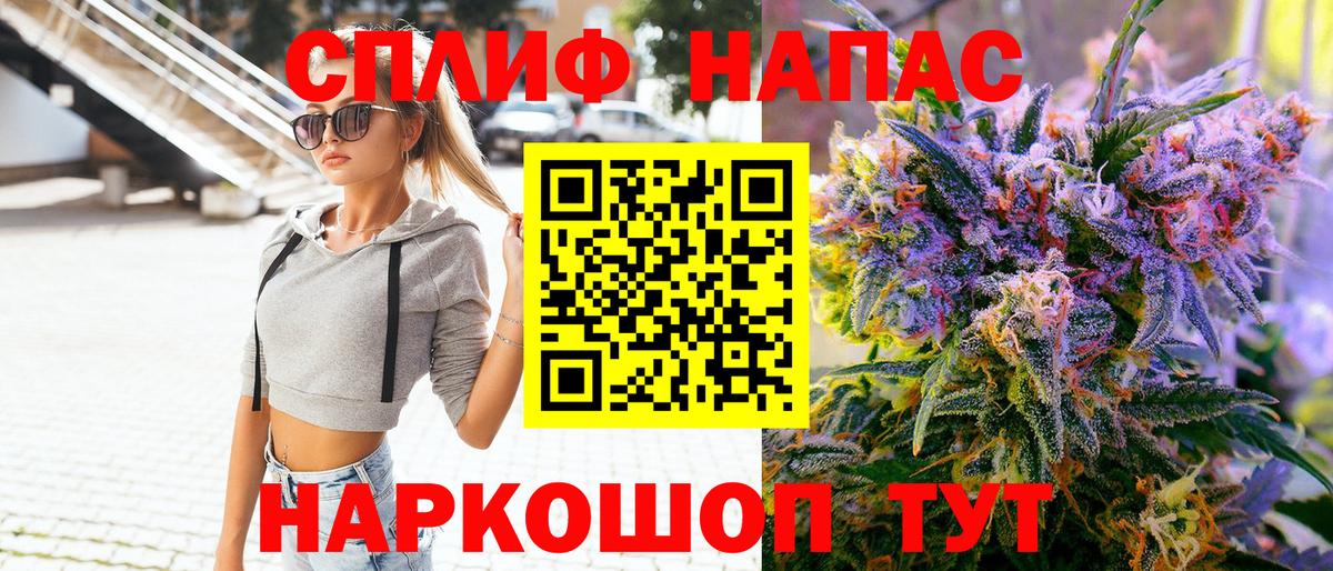 Конопля сатива Малгобек